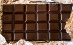 Edwin E. Braatz: "Die Macht des Schokoladenmarketings"